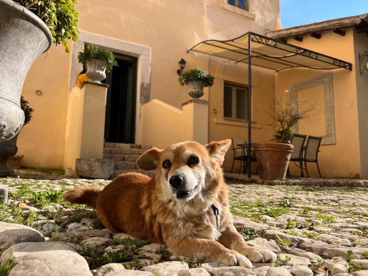 Agriturismo Castello Santa Margherita Cori Kültér fotó